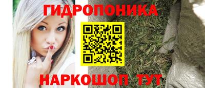 крисы Рузаевка