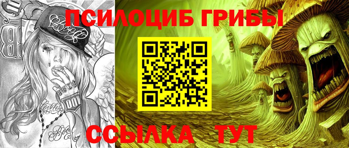 Севастополь  Псилоцибиновые грибы мицелий  Вход с VPN 